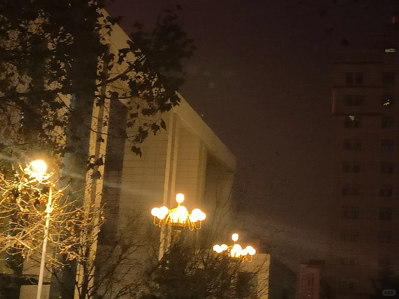 爱看小说的人都很快乐