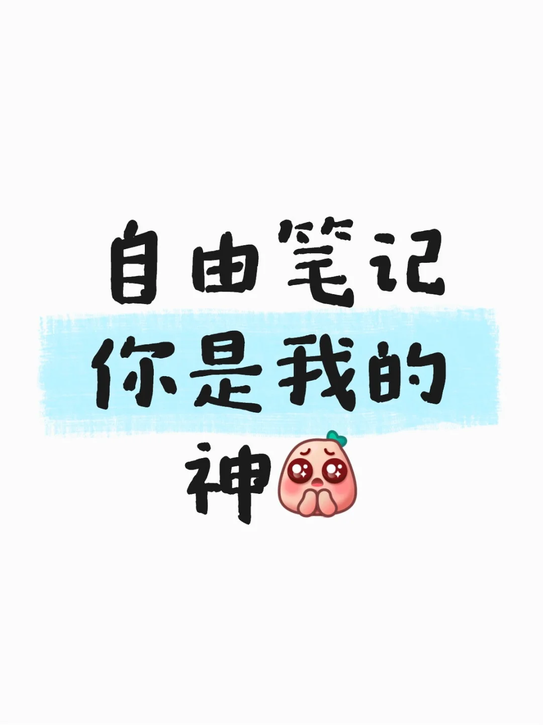 ipad无纸化学习我选择