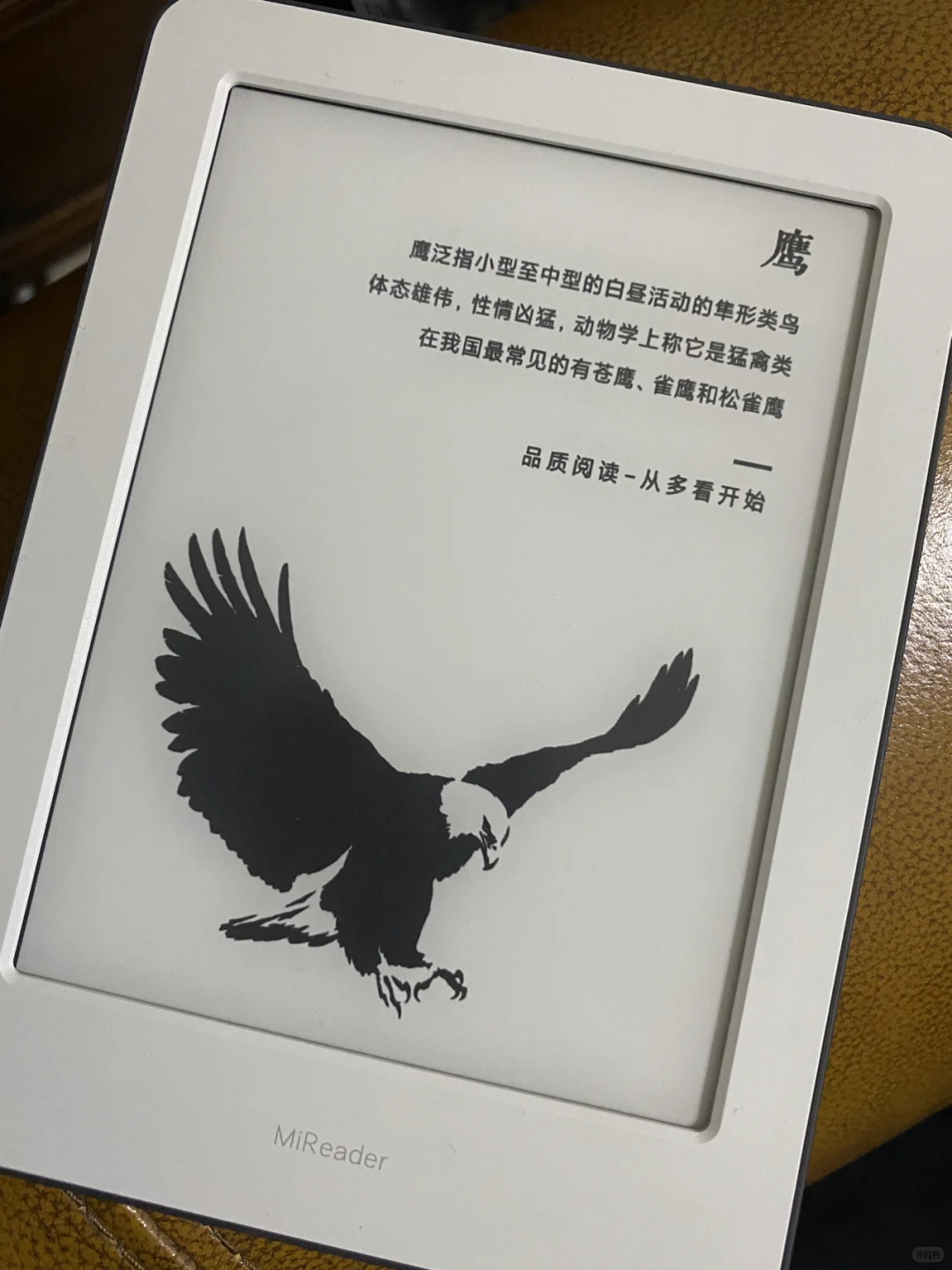 小米多看，真香！