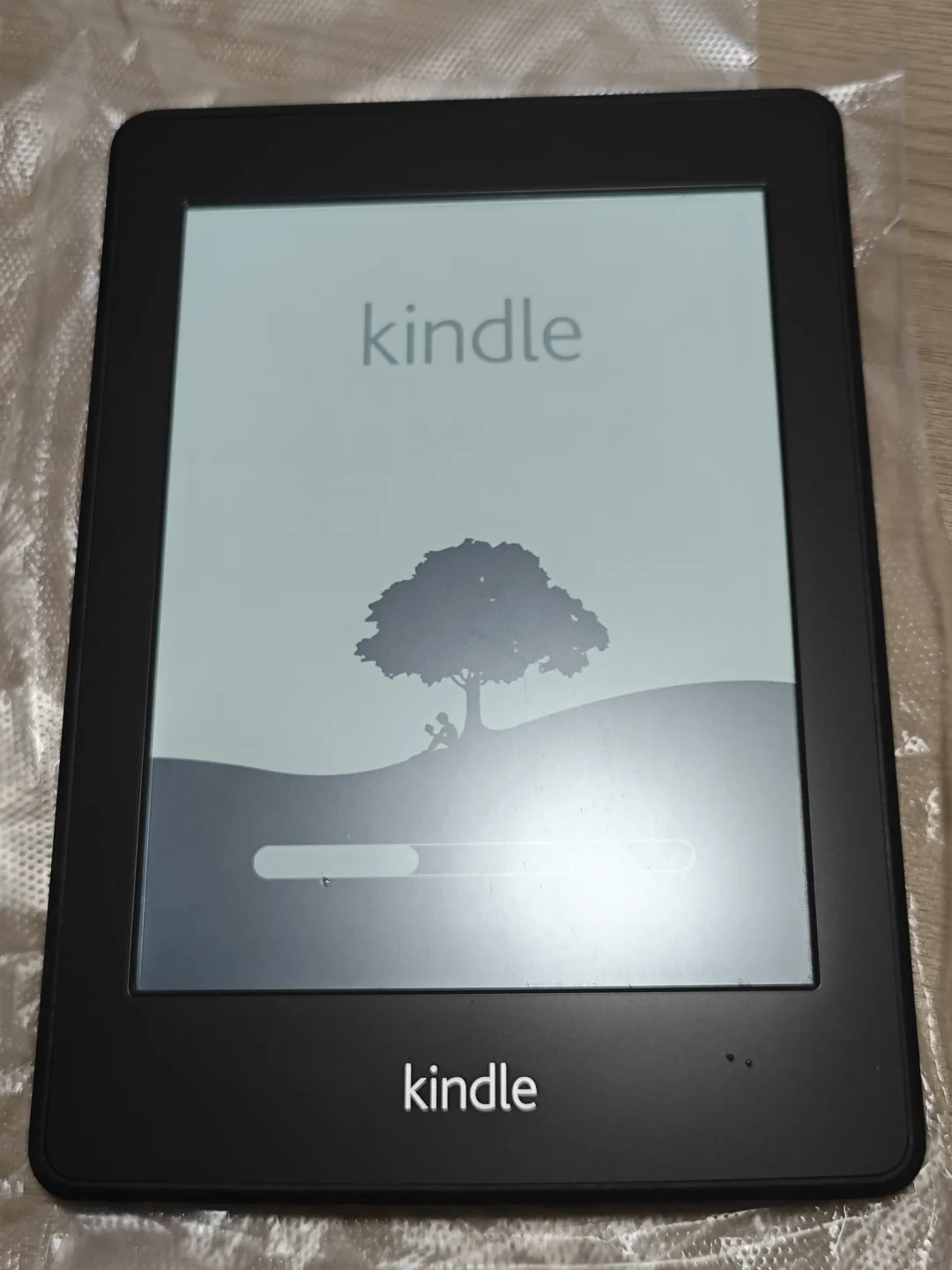 海鲜市场半张💰二手kindle安全下车
