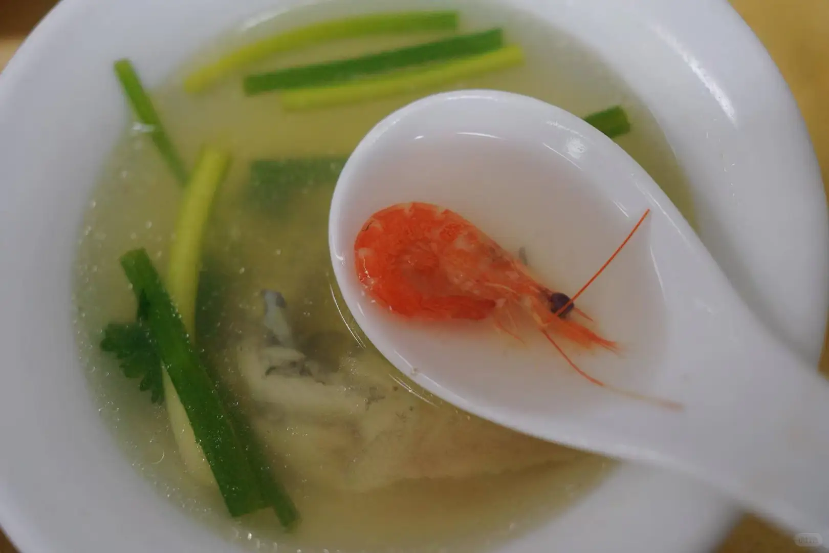 来湛科读书，实现生蚝糖水双自由！