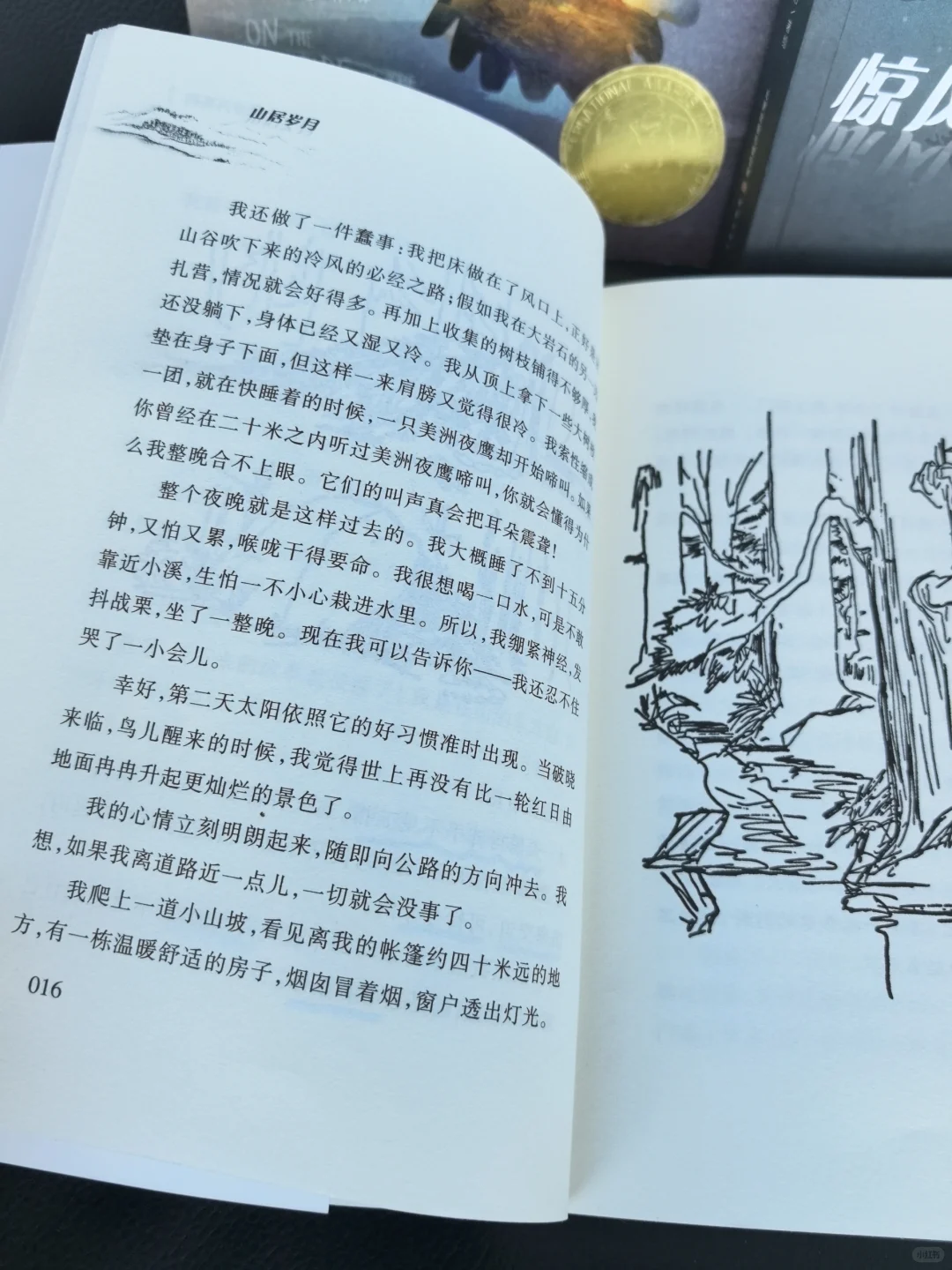 娃戒掉手机瘾，居然是因为这套纽伯瑞大奖书