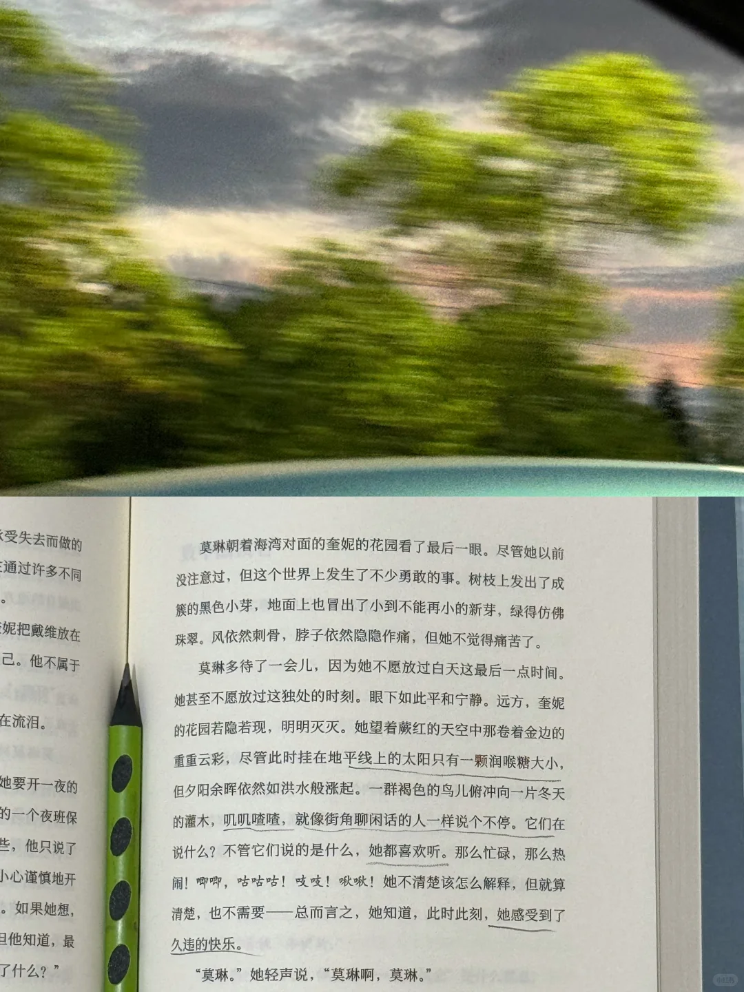 独处、阅读、散步，要敢于去幻想你想要的生活