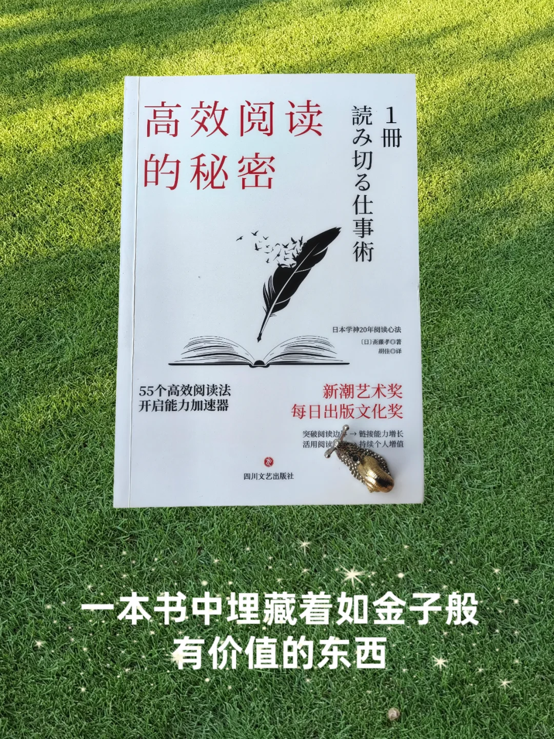 再次阅读，竟发现不同的妙趣