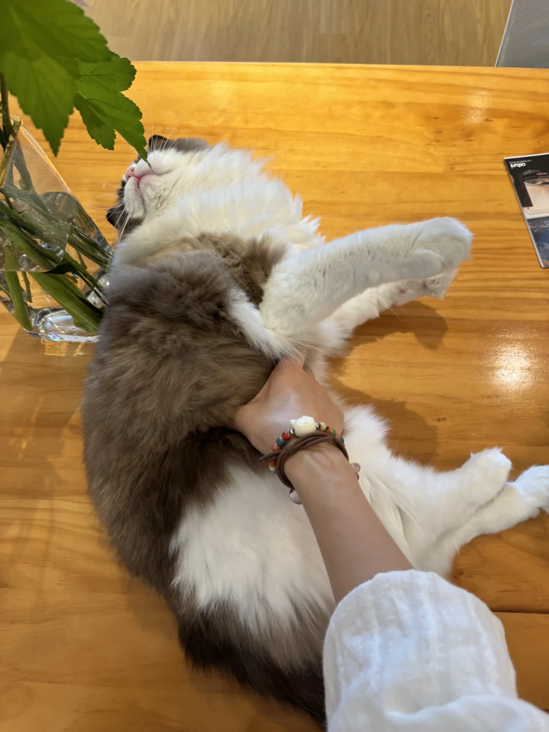 经济独立 学习自由…