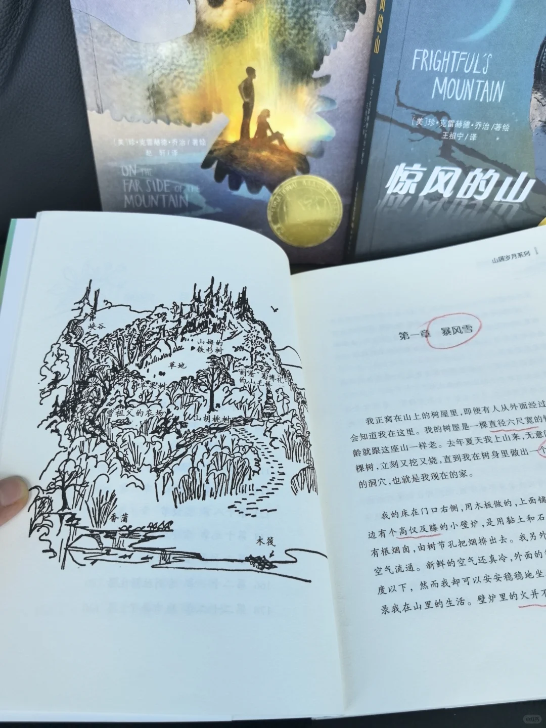 娃戒掉手机瘾，居然是因为这套纽伯瑞大奖书