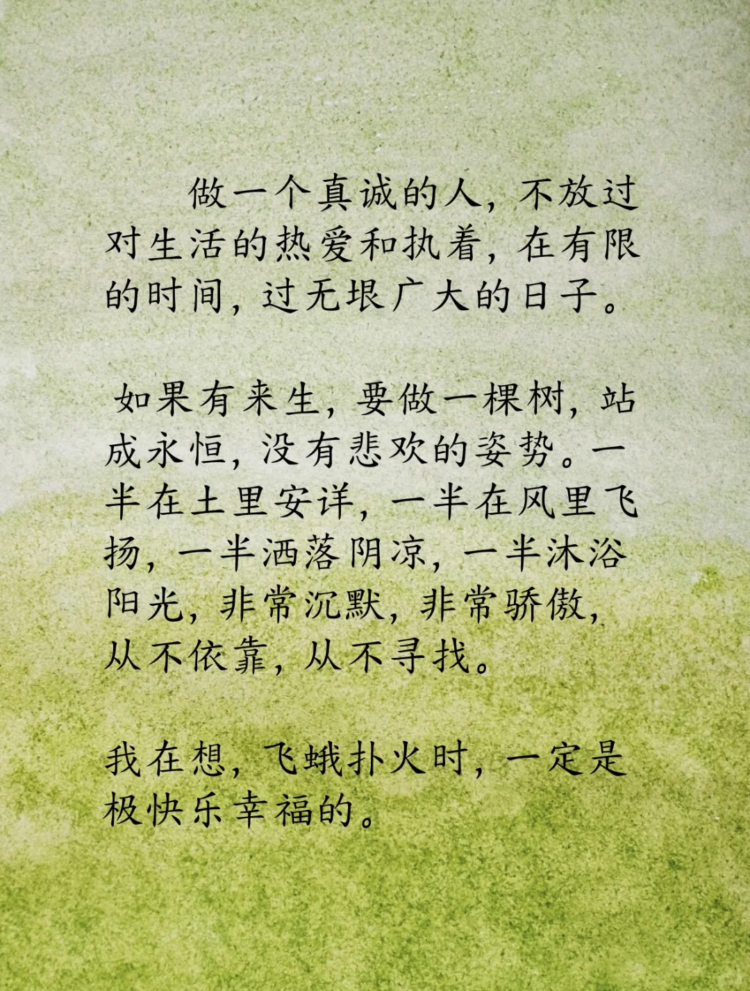 30岁后才读懂三毛📔自由的灵魂，洒脱的文字