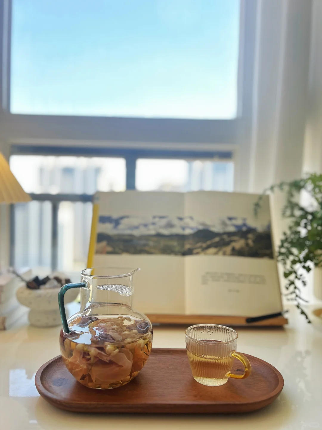 独处，喝茶，阅读，在小事里反复幸福