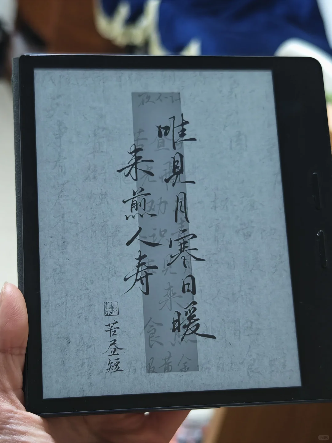找到了一波很喜欢的掌阅壁纸💕