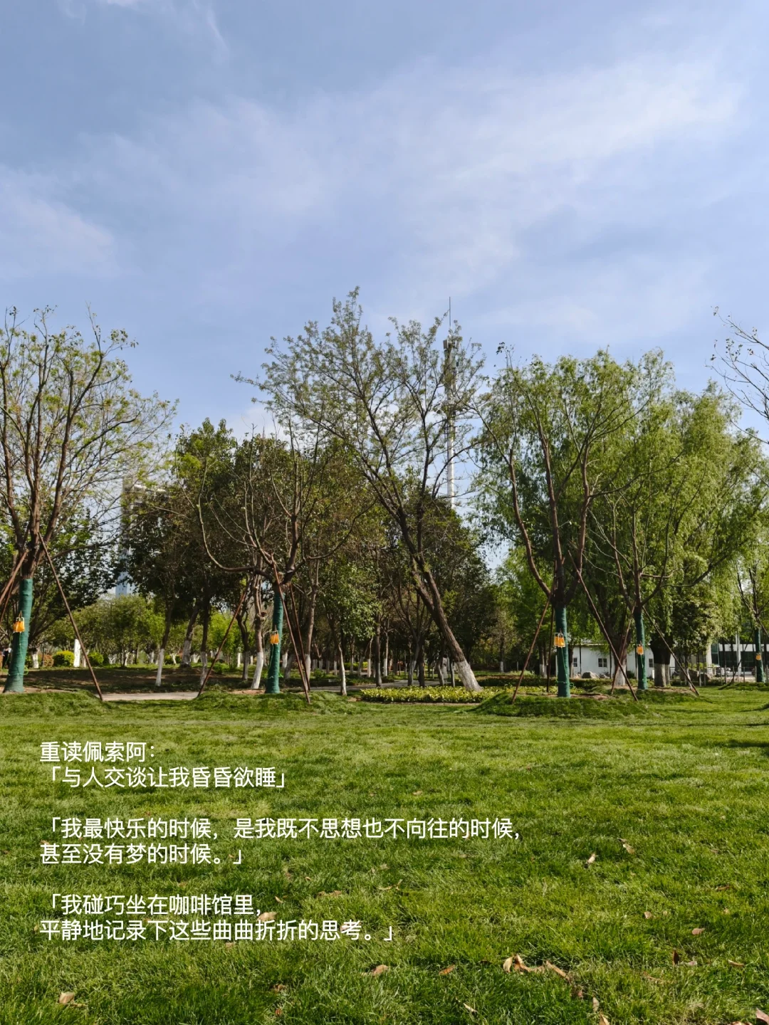 突然意识到当我每天都“走出门去”