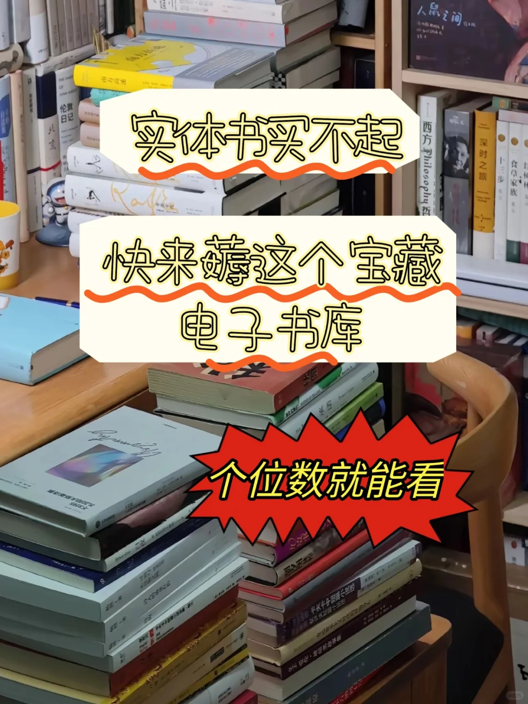 买了电子书资源库，kindle每天不离手