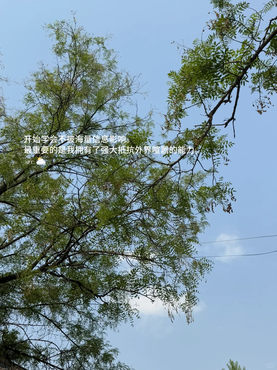 突然意识到当我每天都“走出门去”