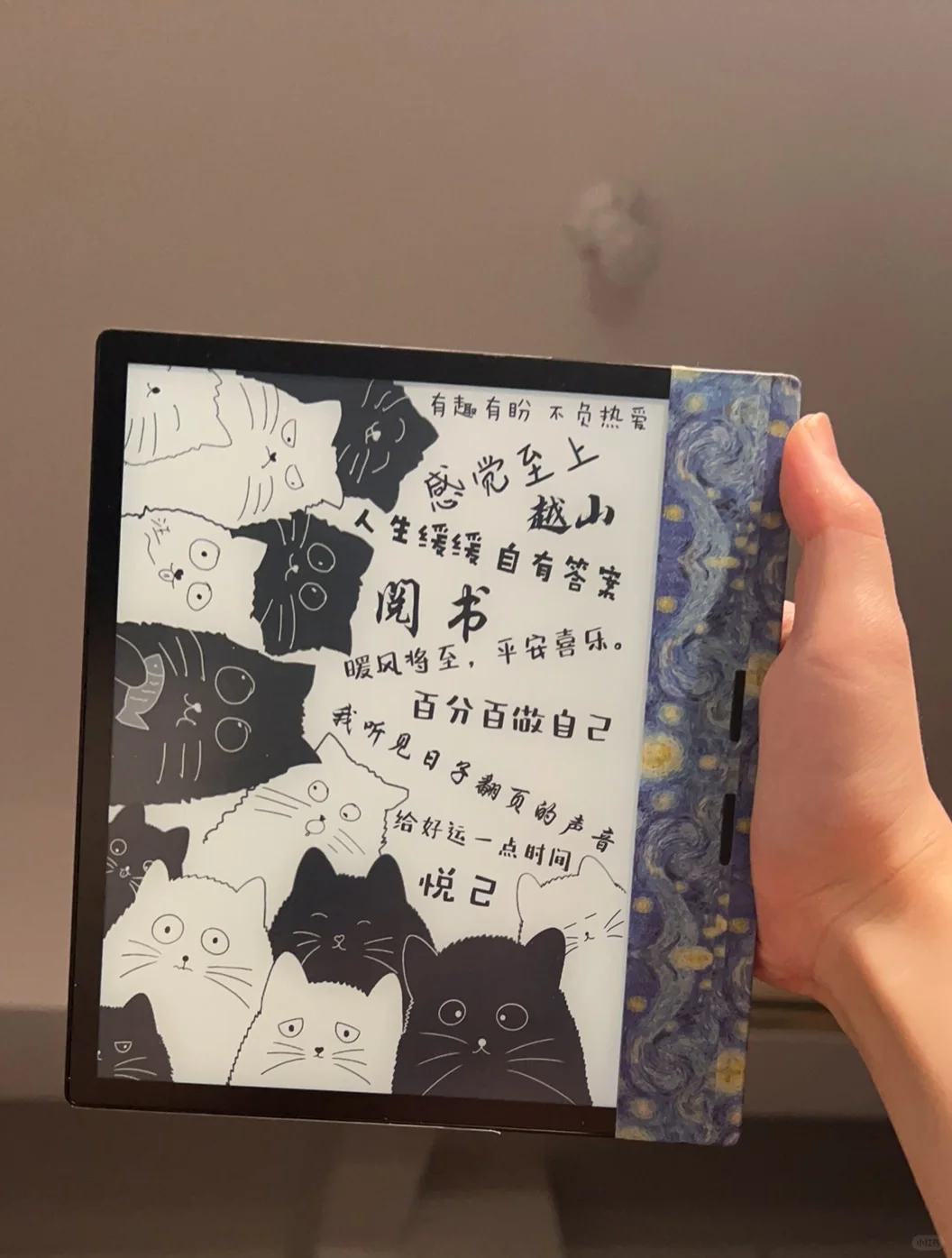 阅读器壁纸～