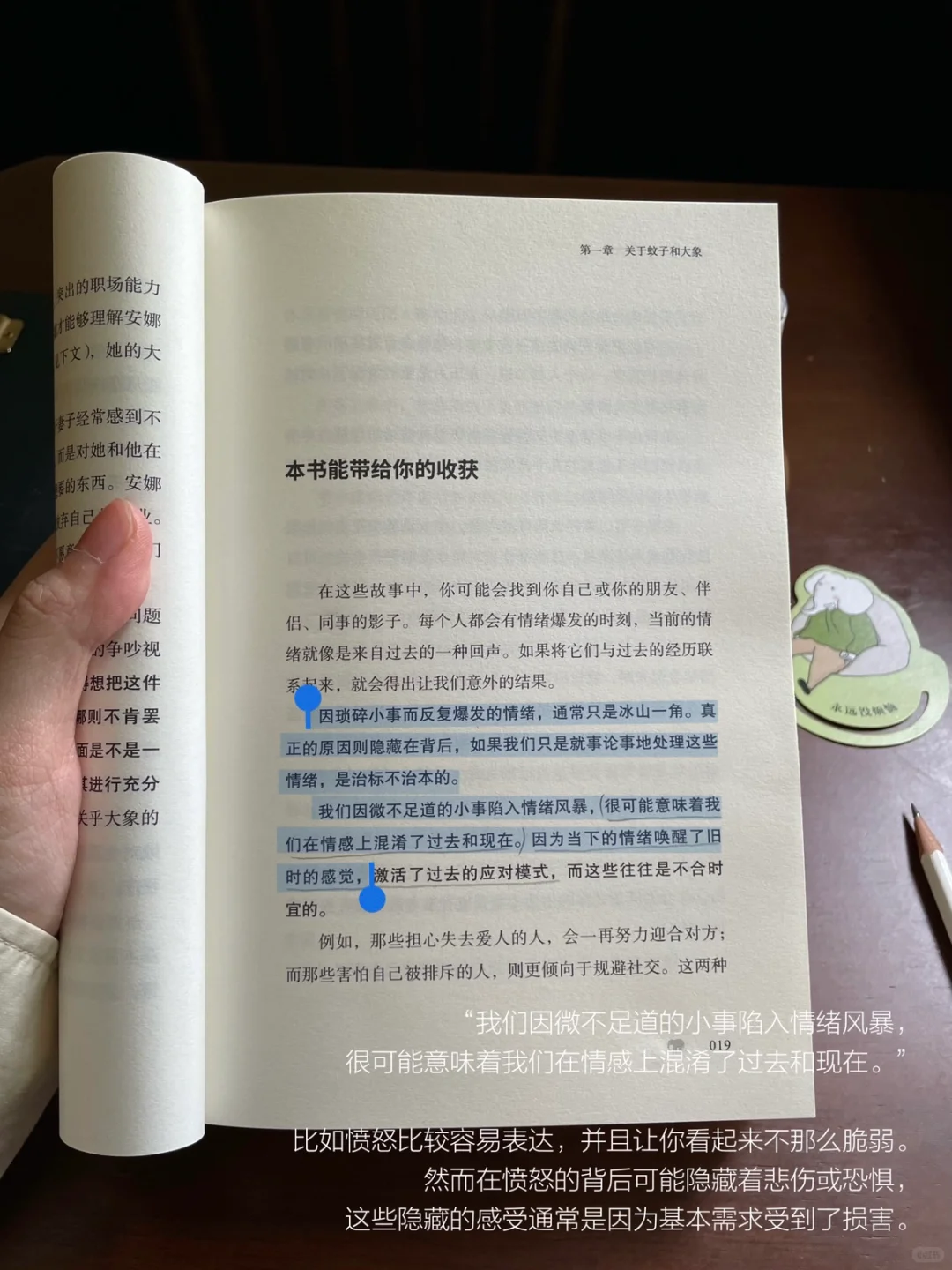 当我通过阅读与散步来保持稳定的情绪。