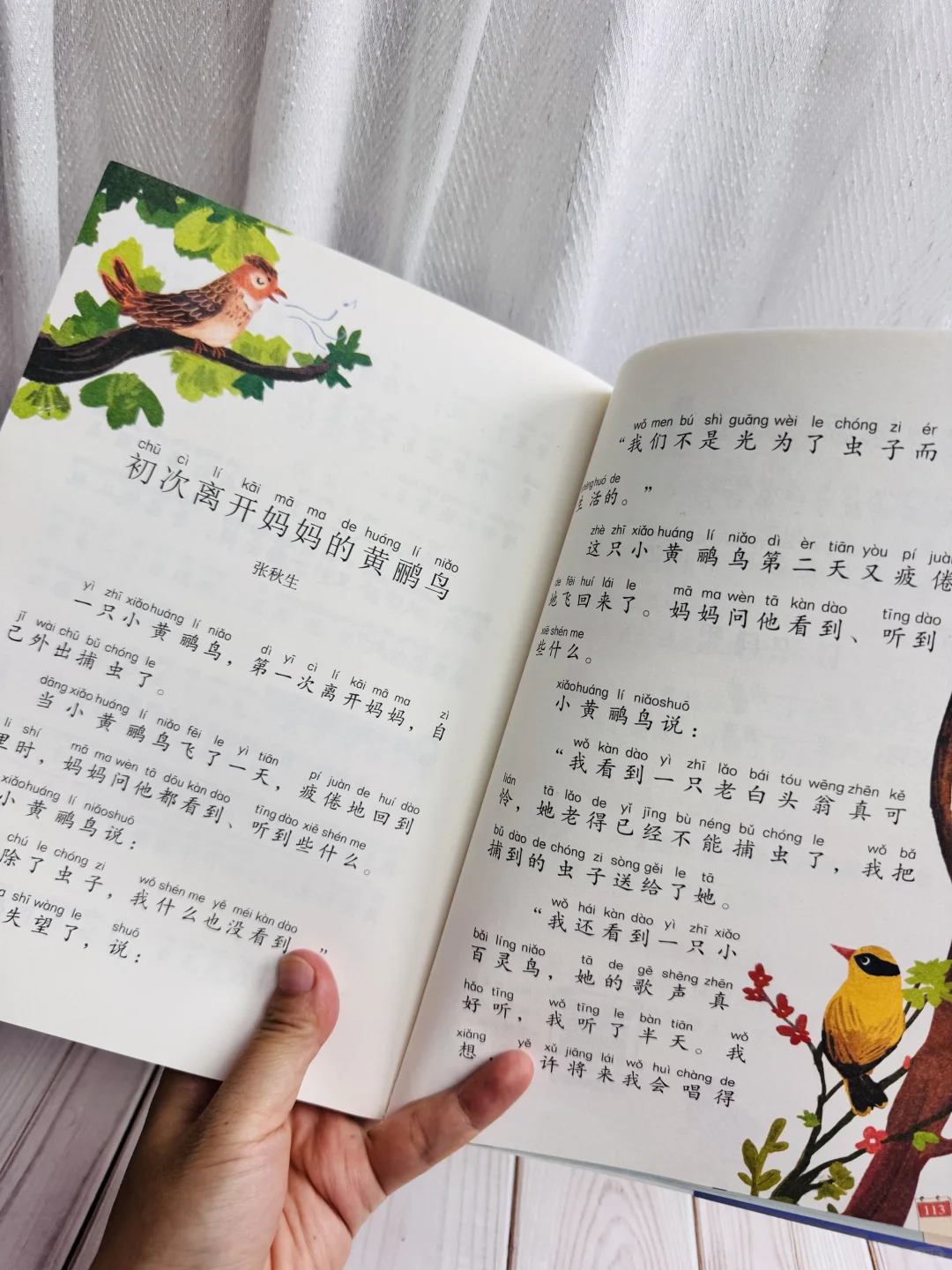 这才是一年级《和大人一起读》正确打开方式💪