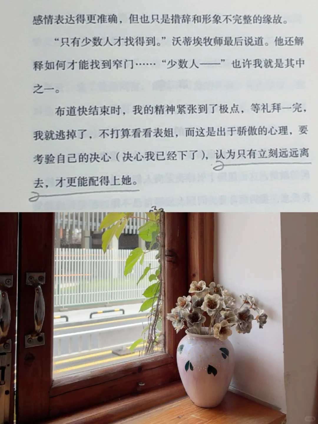 我发现长期阅读的人都有一个共性：