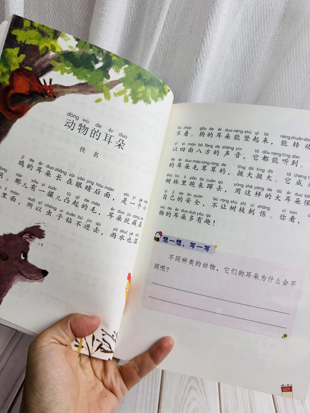 这才是一年级《和大人一起读》正确打开方式💪