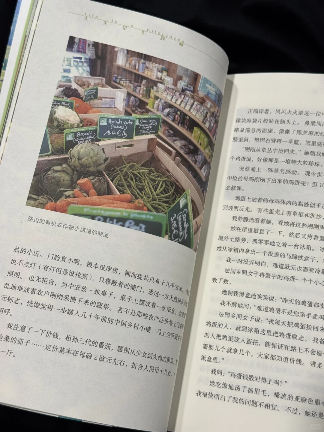 一生紧绷的东亚人 看这本书就像在吸氧🍃