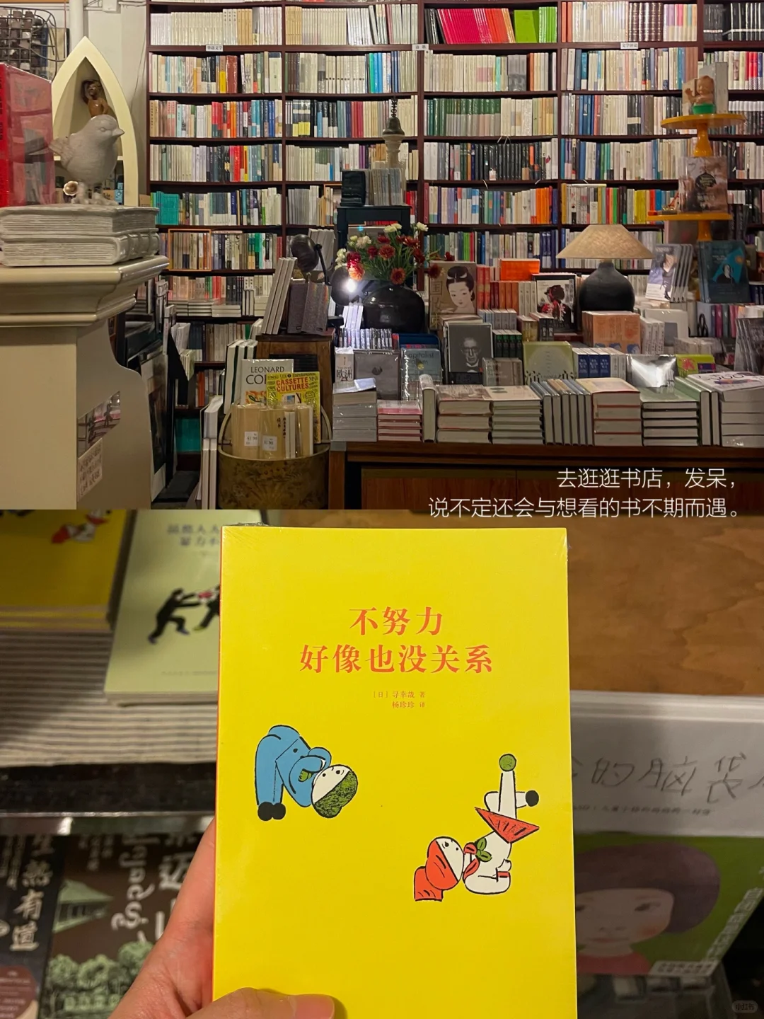 当我通过阅读与散步来保持稳定的情绪。