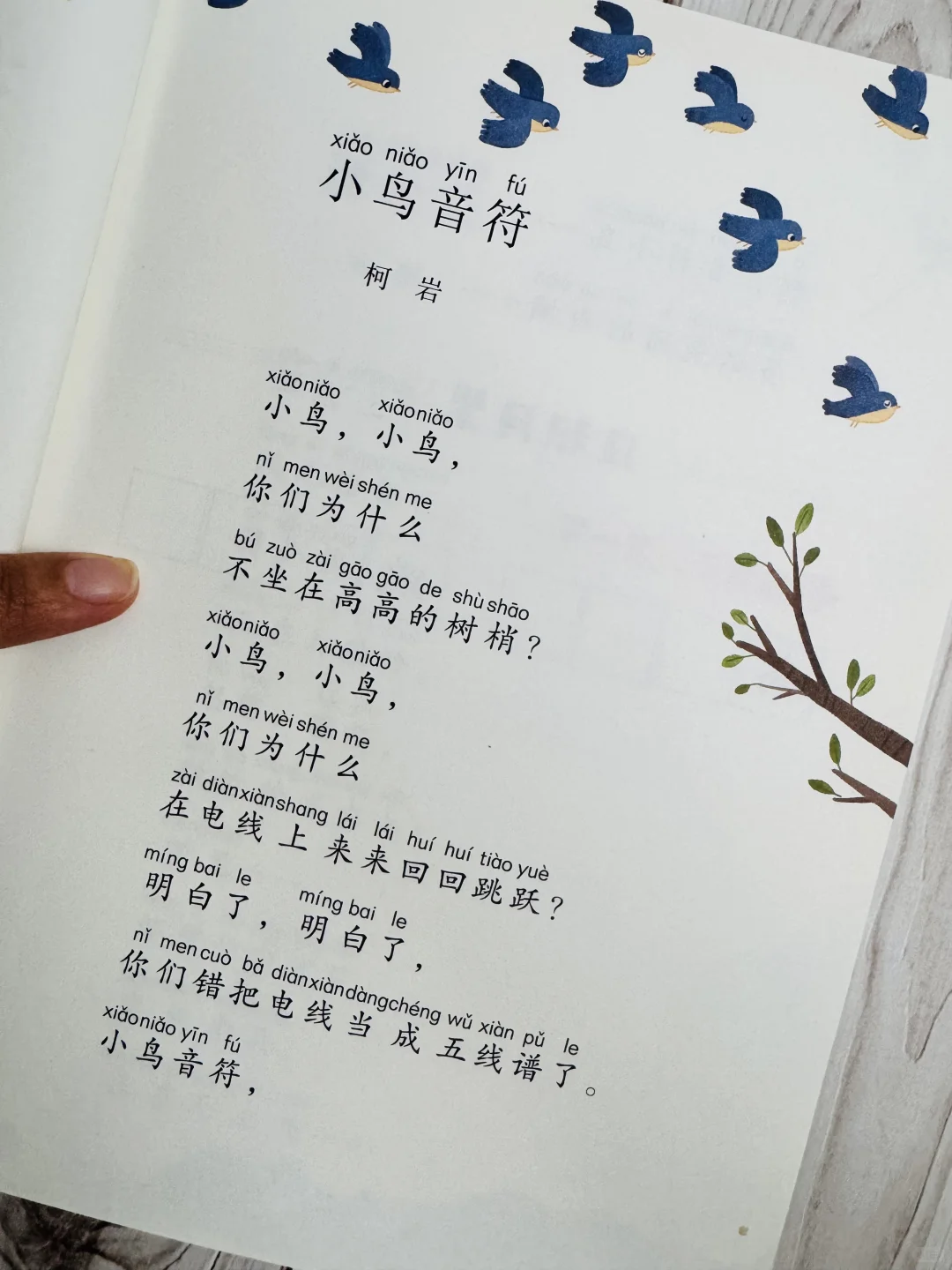 这才是一年级《和大人一起读》正确打开方式💪