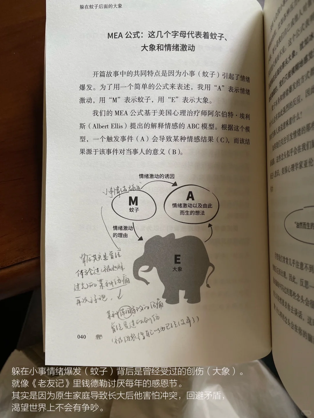 当我通过阅读与散步来保持稳定的情绪。
