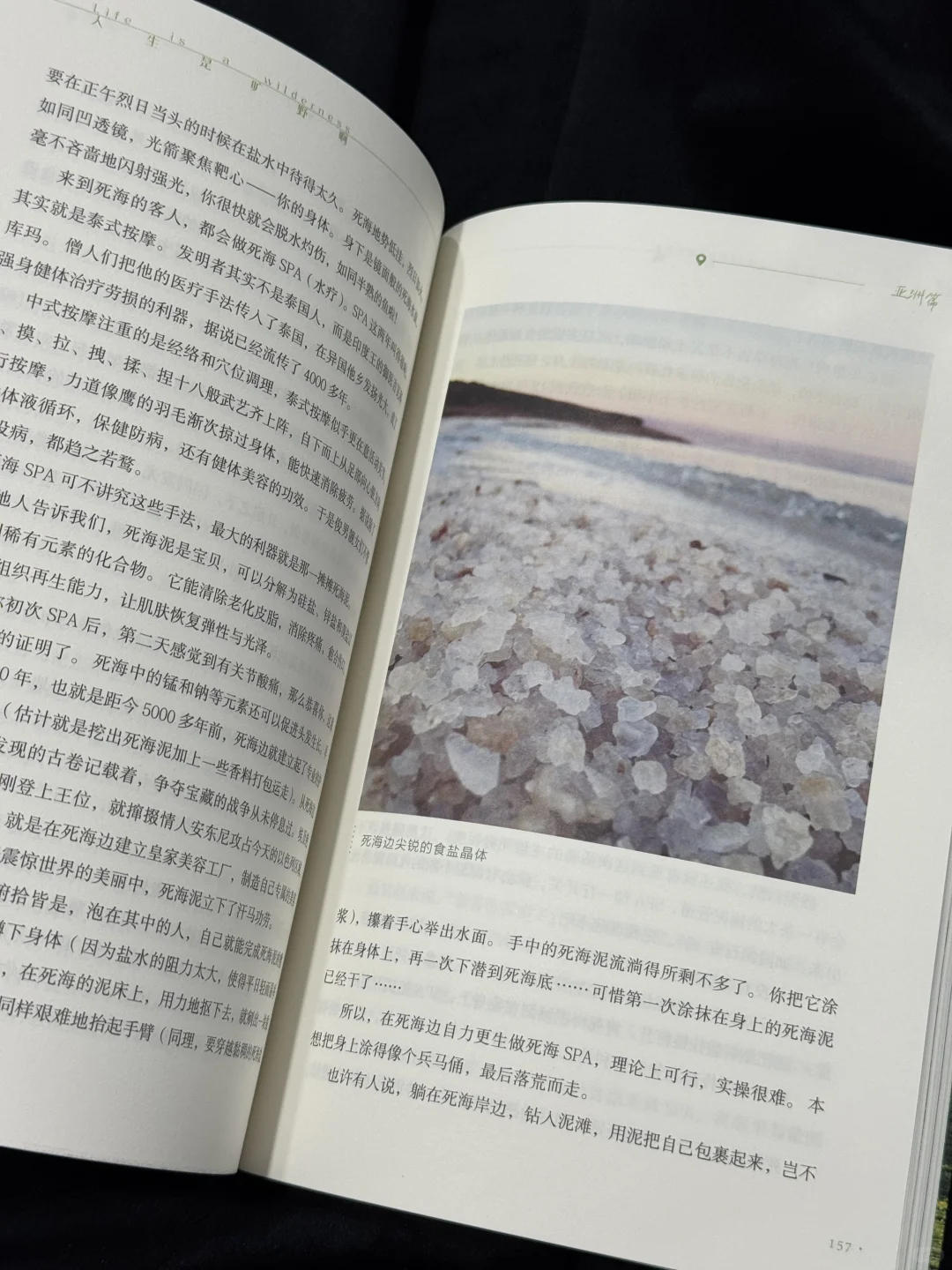 一生紧绷的东亚人 看这本书就像在吸氧🍃