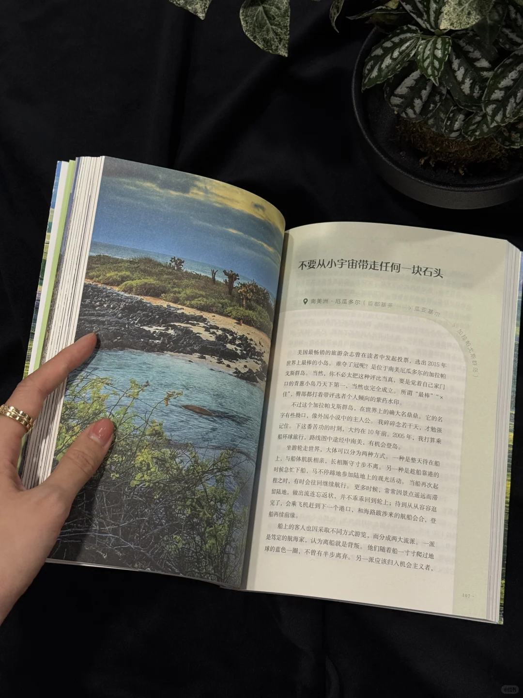 一生紧绷的东亚人 看这本书就像在吸氧🍃