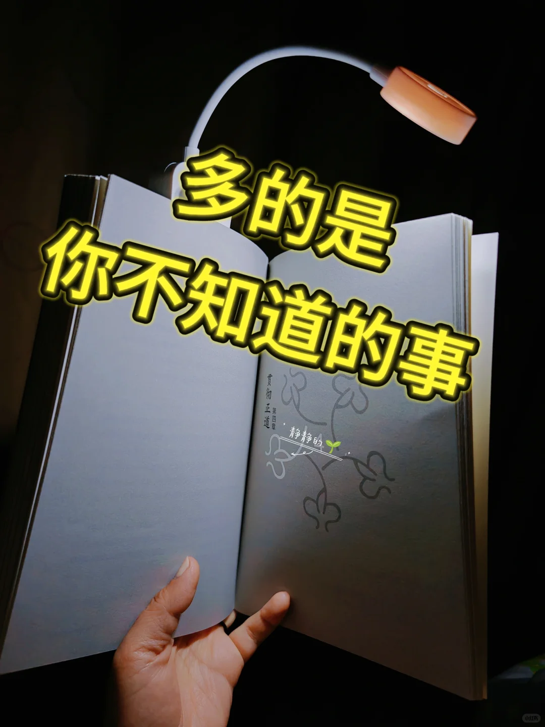 阅读的快乐密码📚✨