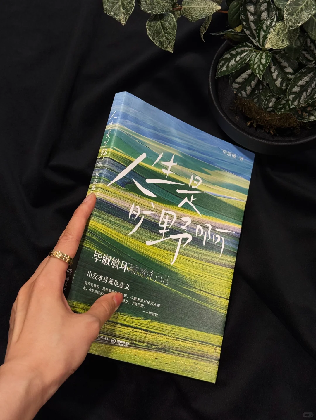 一生紧绷的东亚人 看这本书就像在吸氧🍃