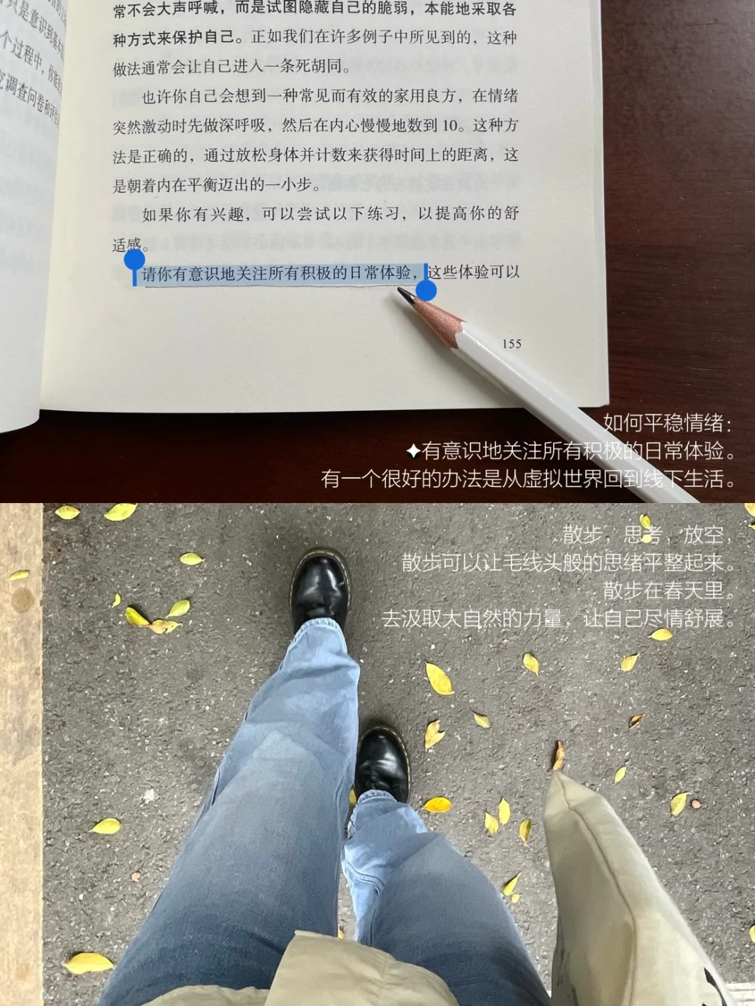 当我通过阅读与散步来保持稳定的情绪。