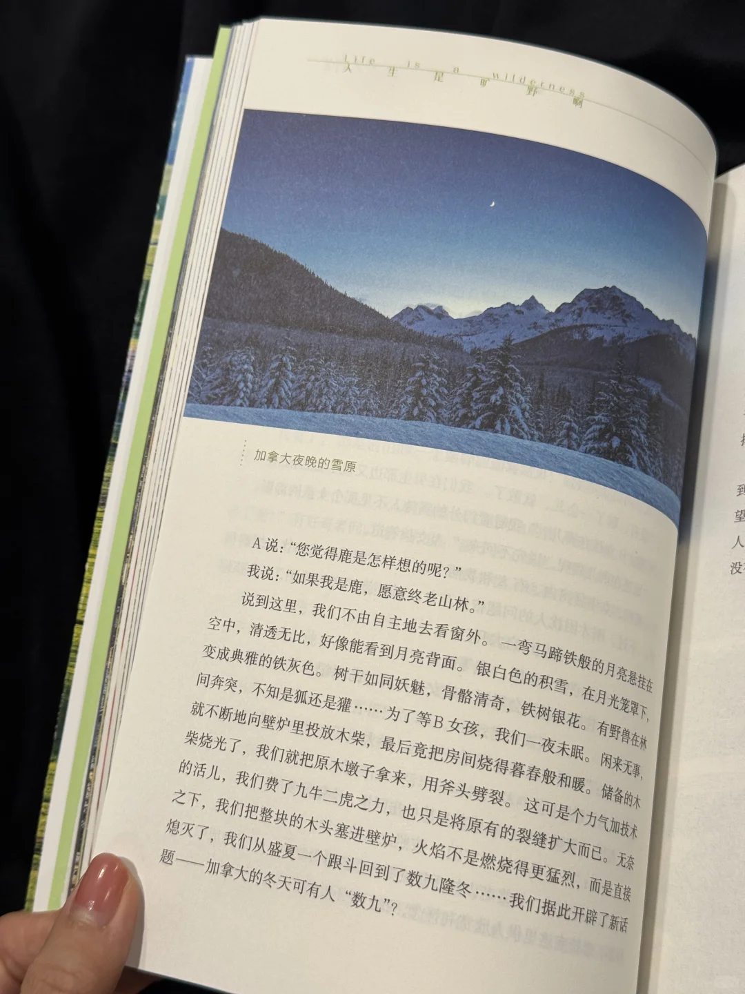 一生紧绷的东亚人 看这本书就像在吸氧🍃
