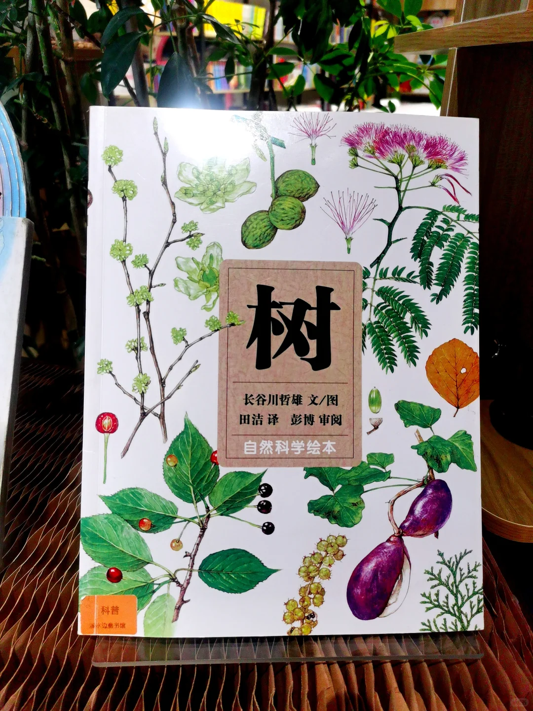 热爱生活|享受阅读