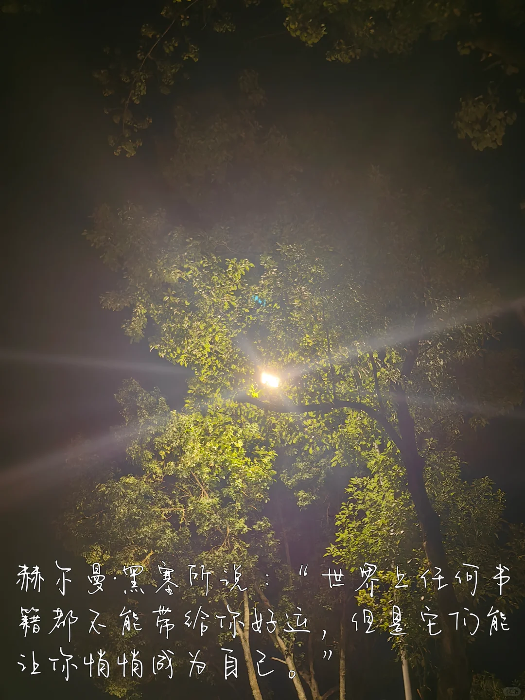 人一定要多读书