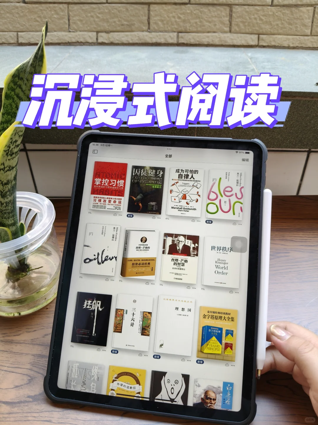 周末就能在家沉浸式读各种各样的书📚