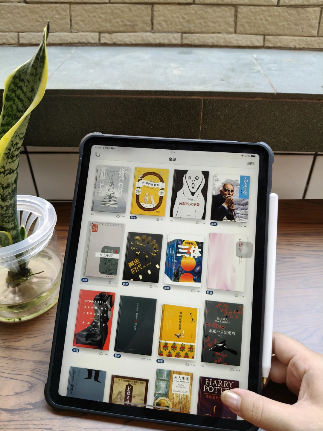 周末就能在家沉浸式读各种各样的书📚