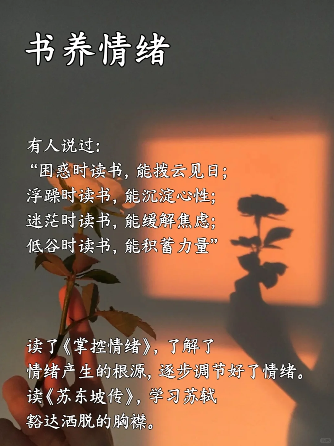 书，最养人