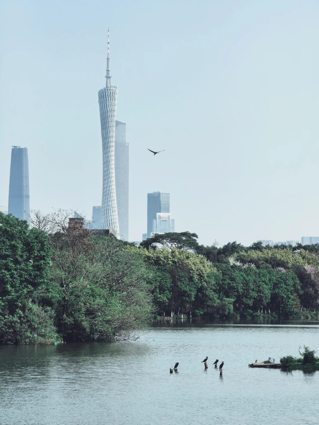 习惯读书后，越来越社恐，反而喜欢上了独处
