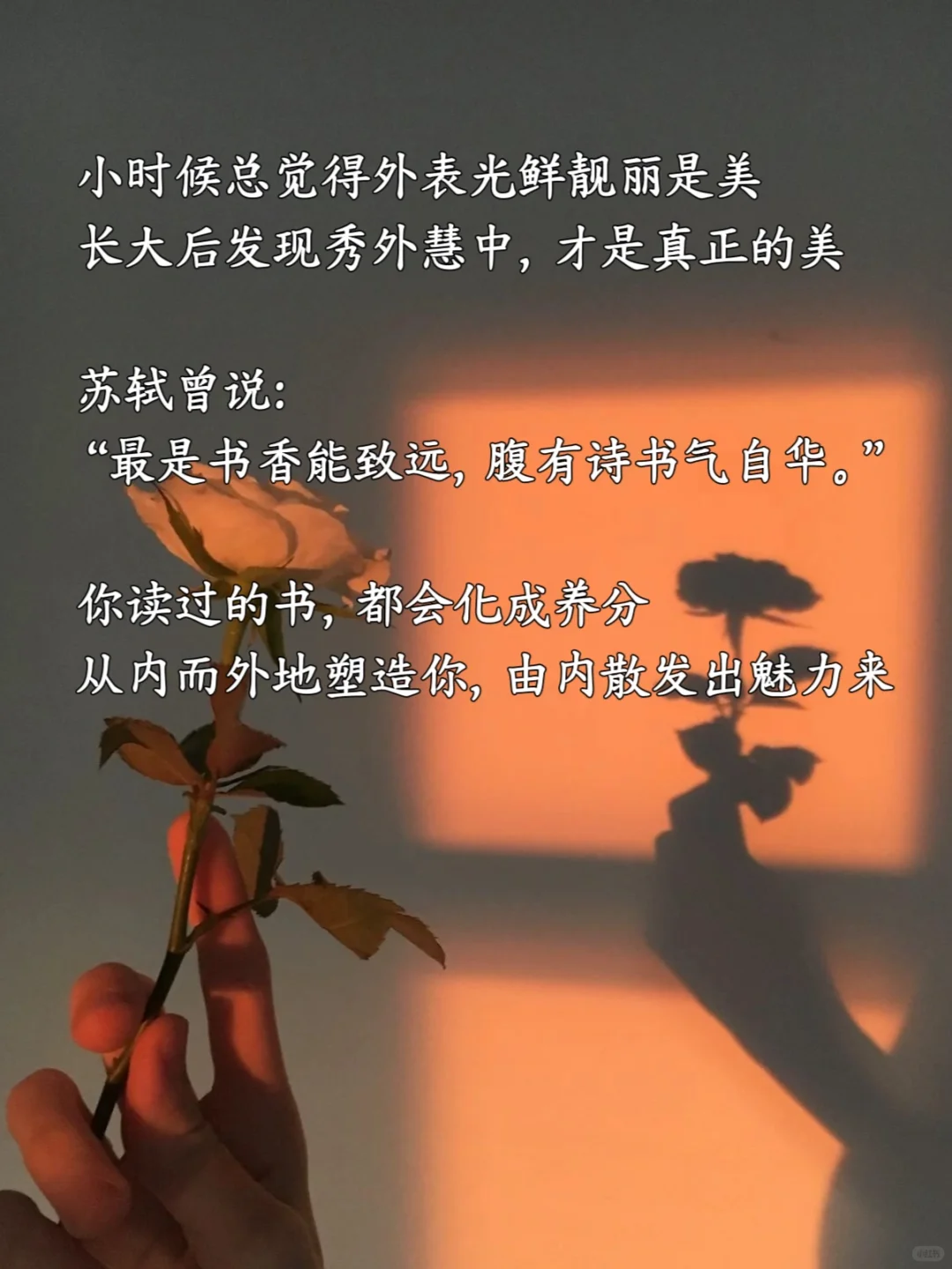 书，最养人