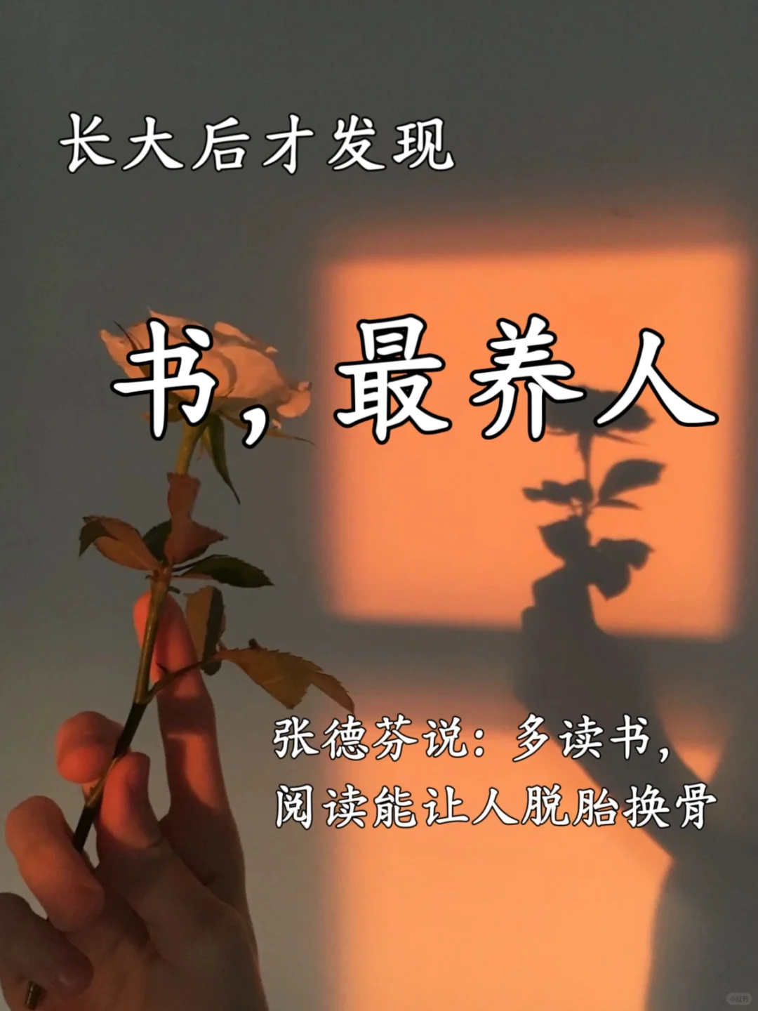 书，最养人