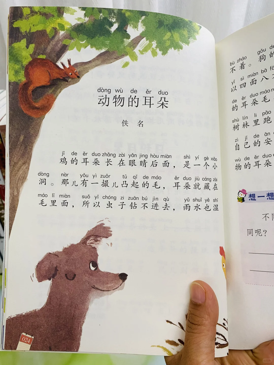 超多老师推荐《和大人一起读》🔥一二年级适合
