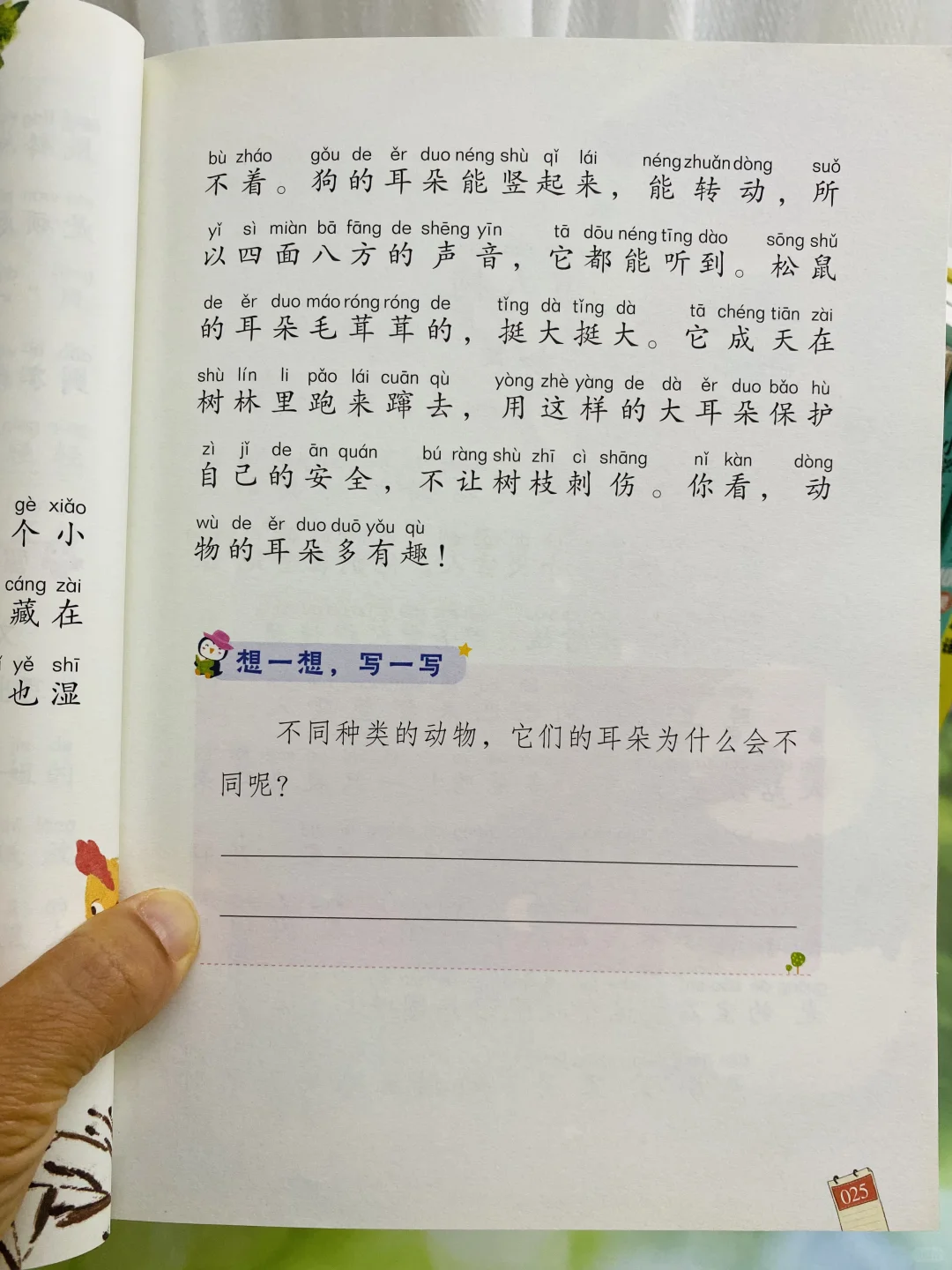 超多老师推荐《和大人一起读》🔥一二年级适合