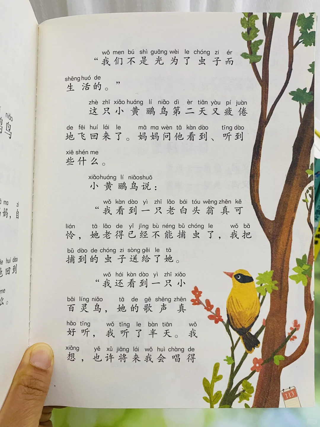 超多老师推荐《和大人一起读》🔥一二年级适合
