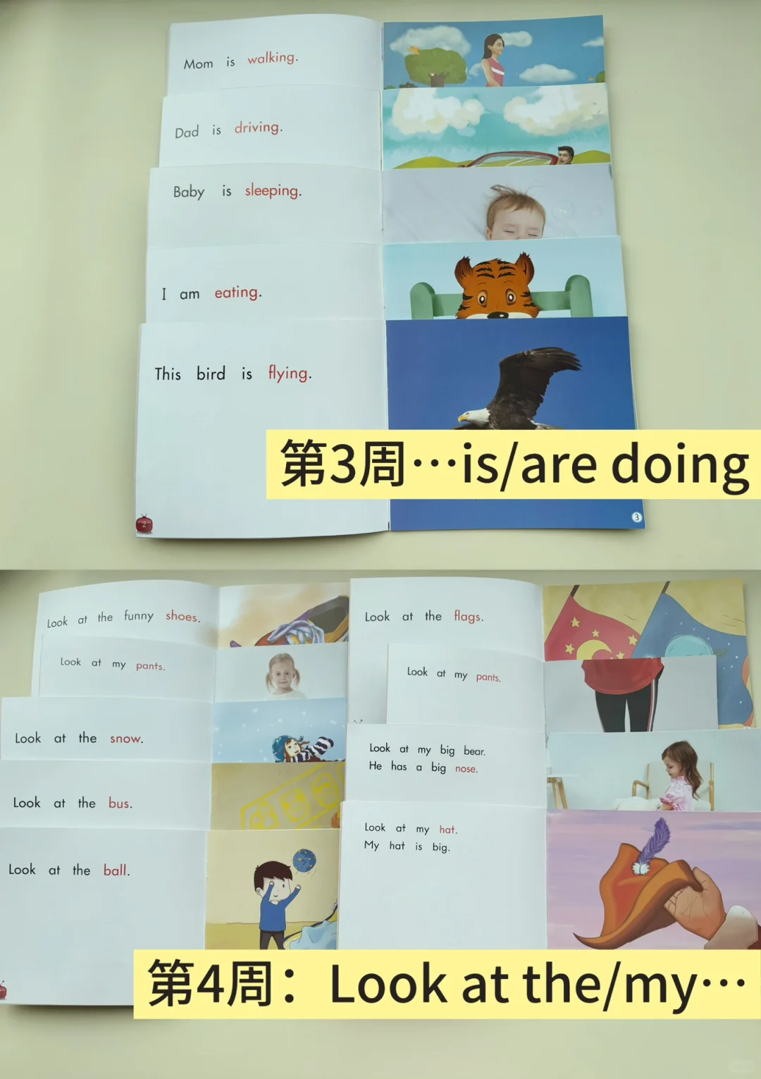 开口神器海尼曼到底怎么刷才更高效呢❓