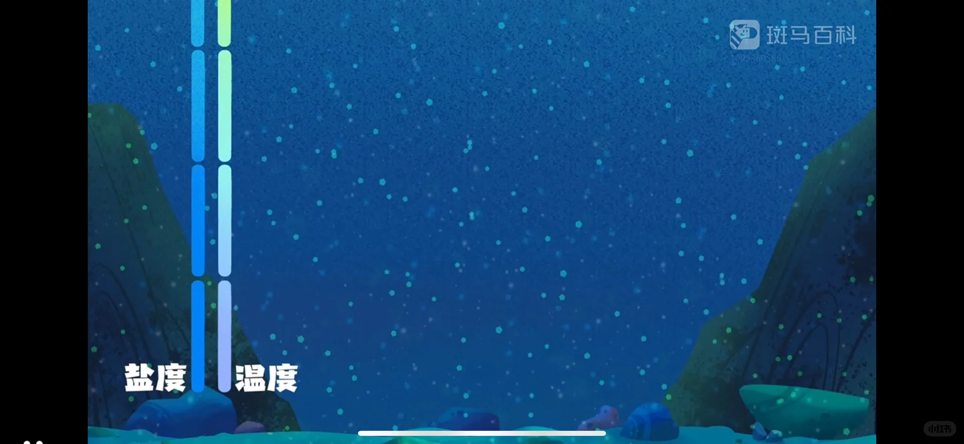 不占手机内存的学习神器，全家都爱！