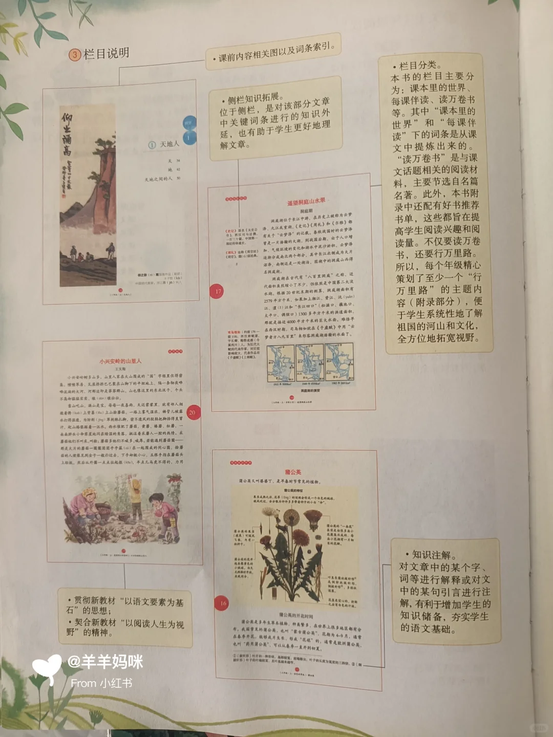 暑期预习神器—年级阅读