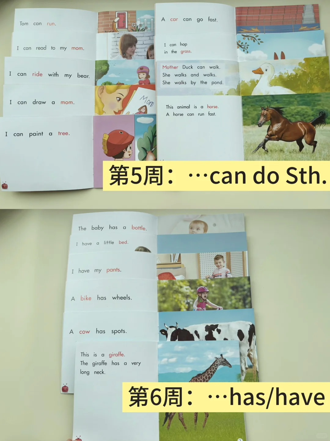 开口神器海尼曼到底怎么刷才更高效呢❓