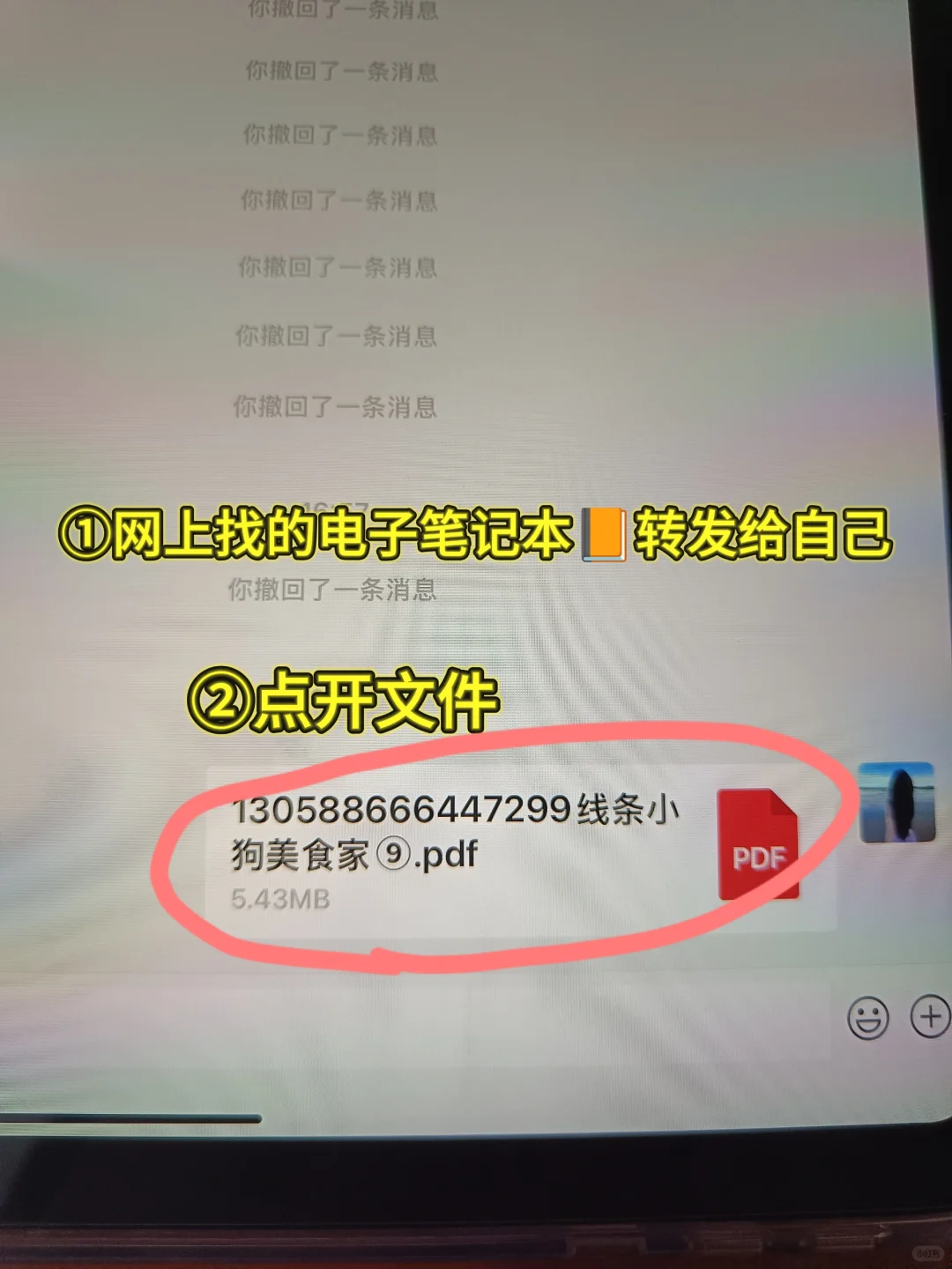 📚iPad小白必看！自由笔记导入电子笔记本