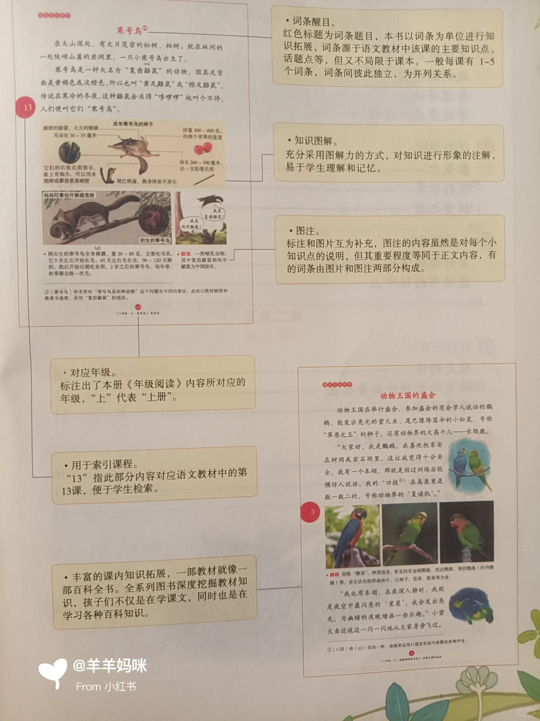 暑期预习神器—年级阅读