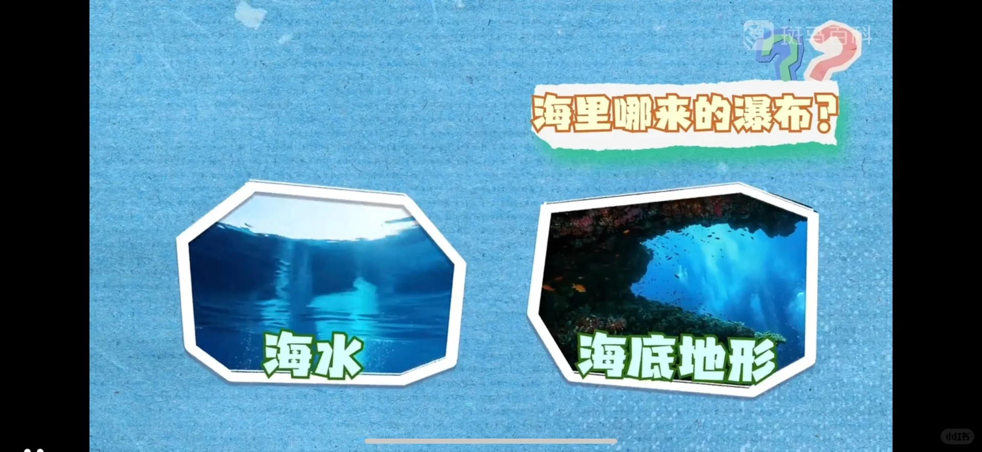 不占手机内存的学习神器，全家都爱！