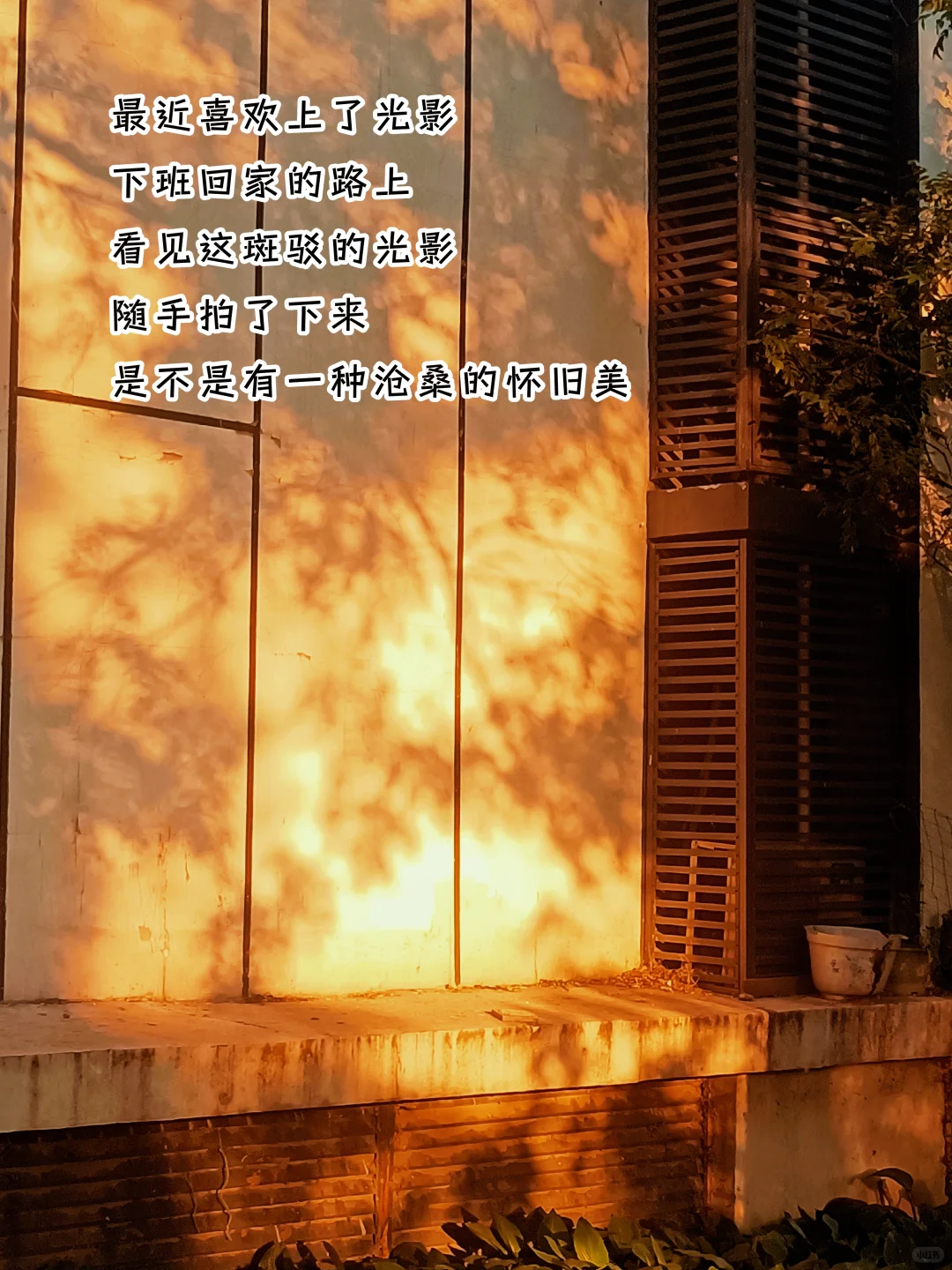 爆款的秘密，笔记写双标题，流量翻10倍